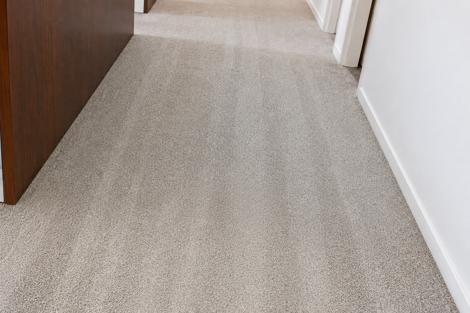 Higienização de carpetes e tapetes — ABIL Curitiba